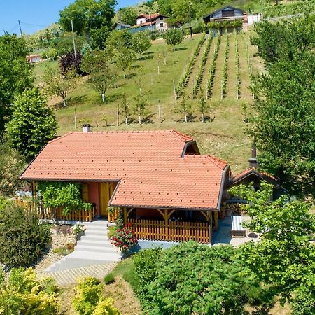 Kuca Za Odmor Hiza I Vila Krapina Kültér fotó