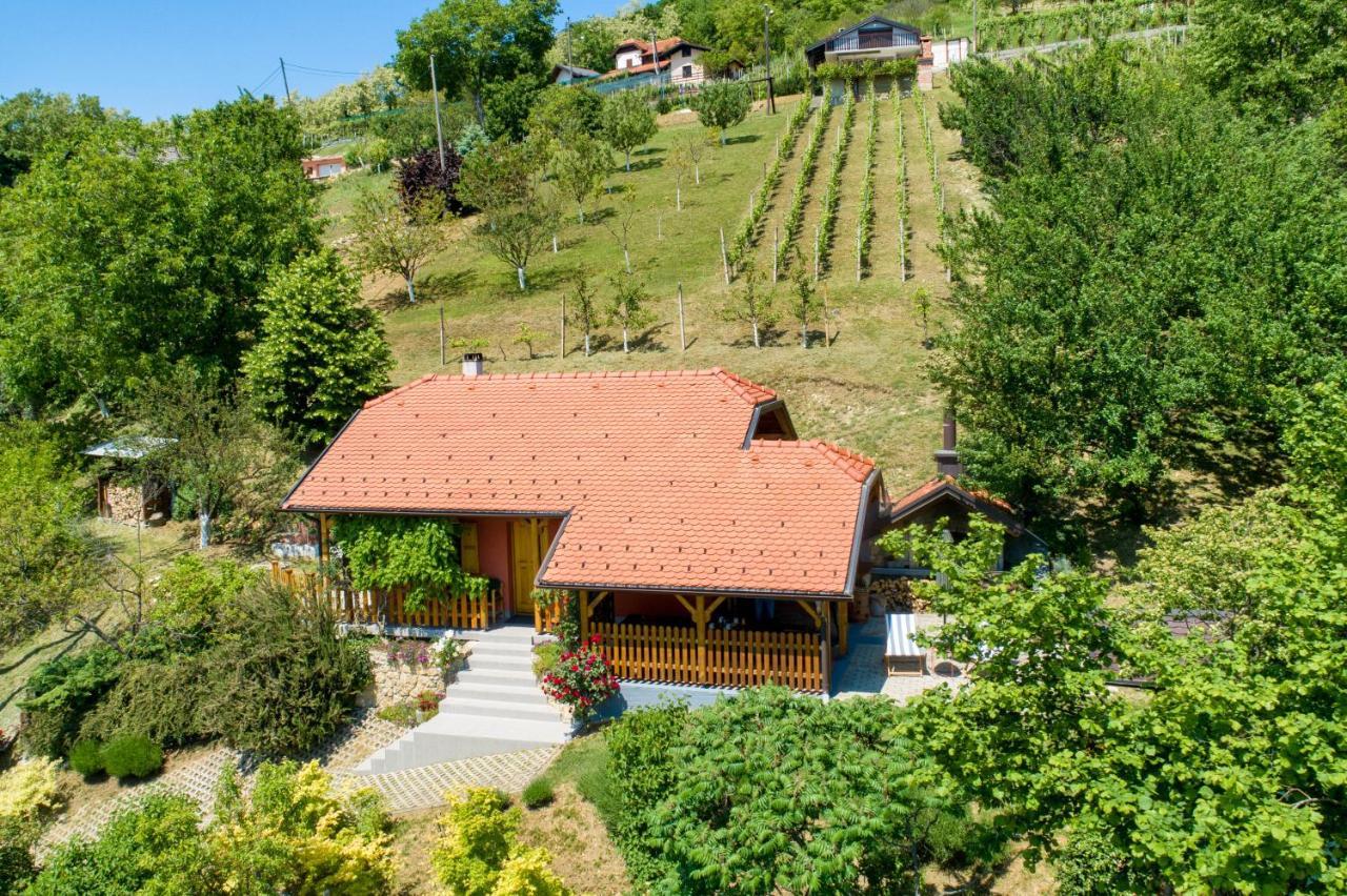 Kuca Za Odmor Hiza I Vila Krapina Kültér fotó